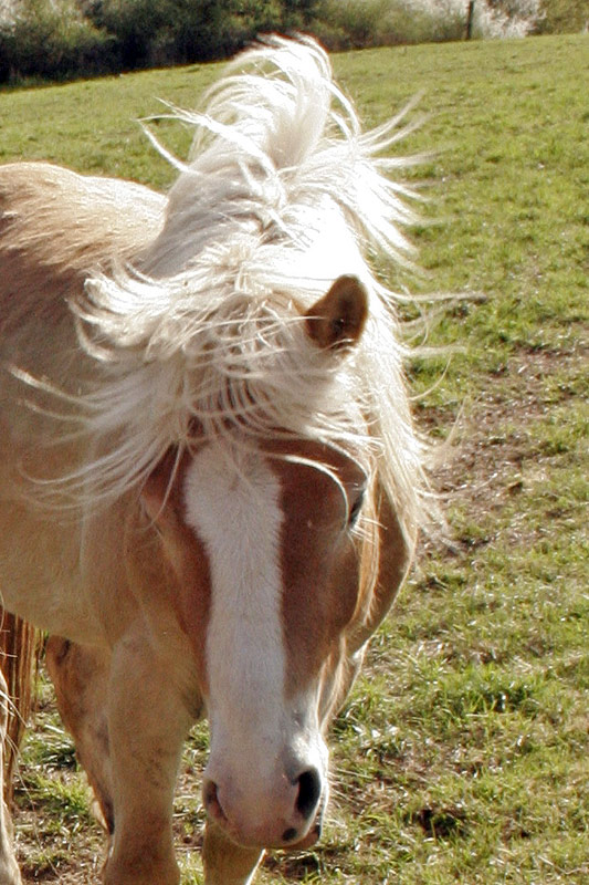 Warino und Nando