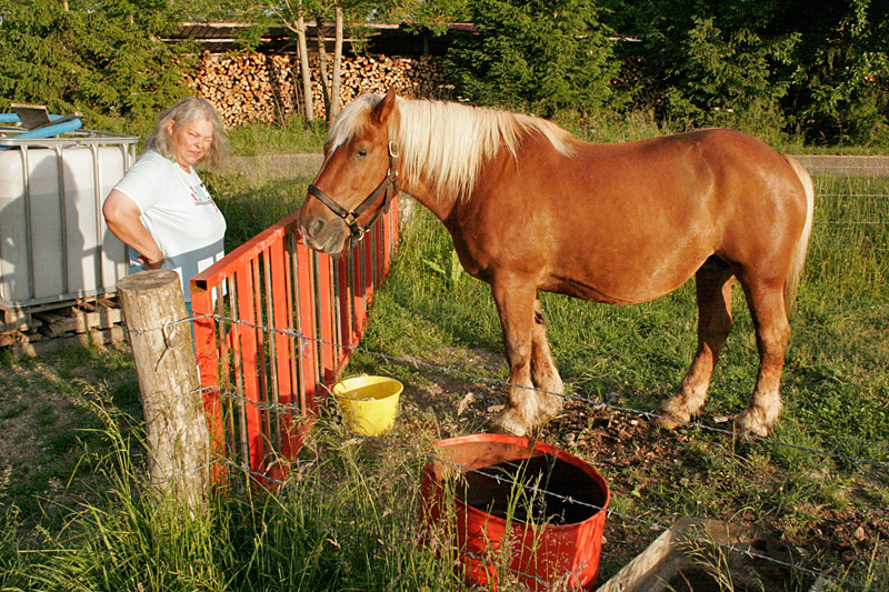 Vor Etappe 4 - Ormoy, Elke hellwach, Devise mit Granulé