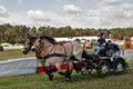 brueck25+26-06-11_25Jun2011_0221opt